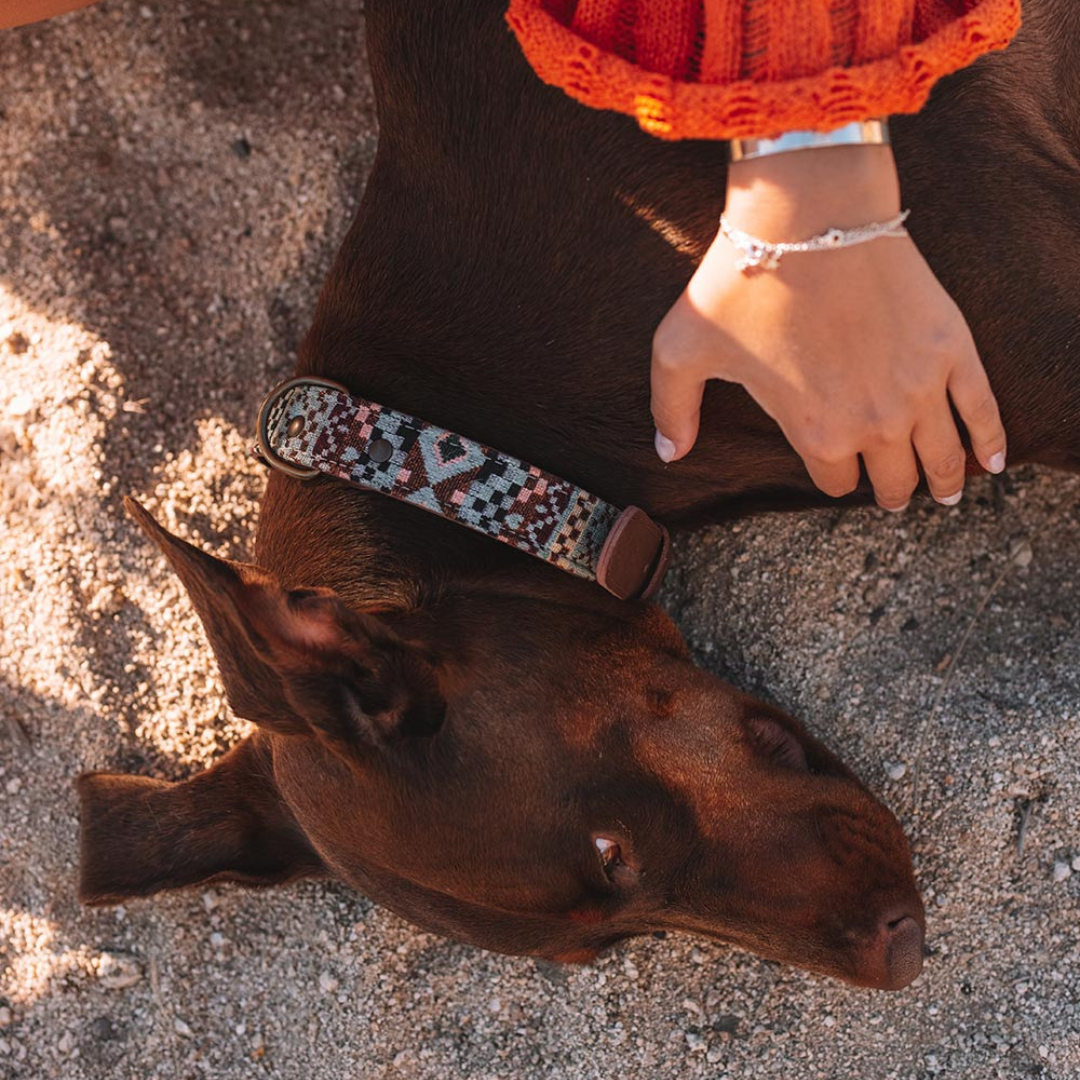 Collar perro Navajo Turquesa