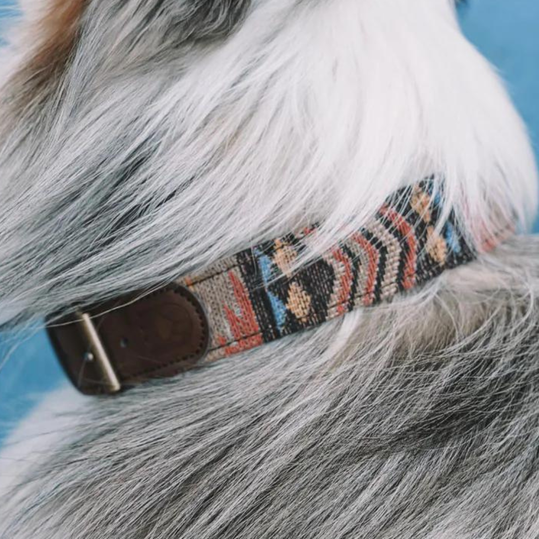 Collar perro Navajo Dark