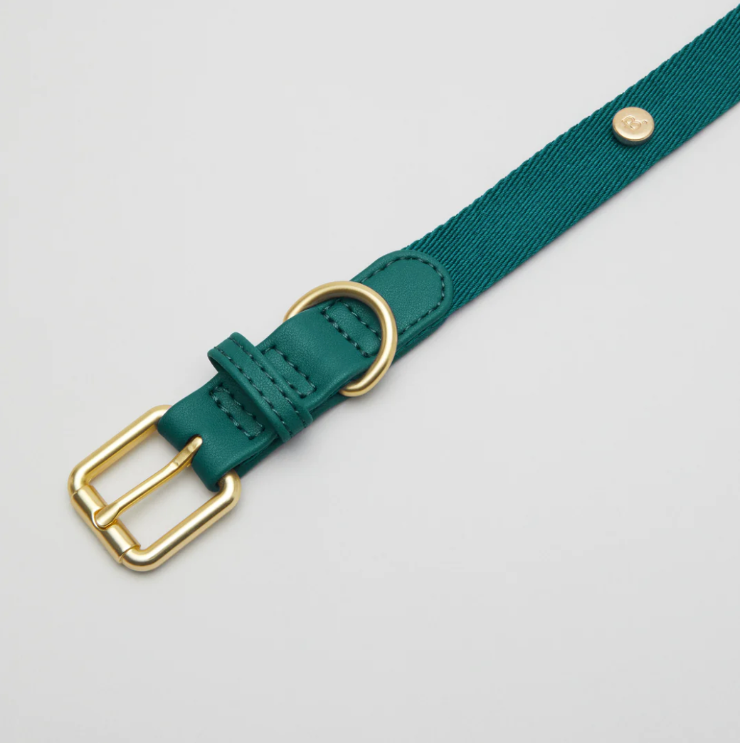 Collar perro Classic verde