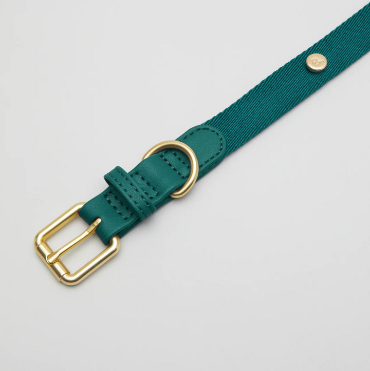 Collar perro Classic verde