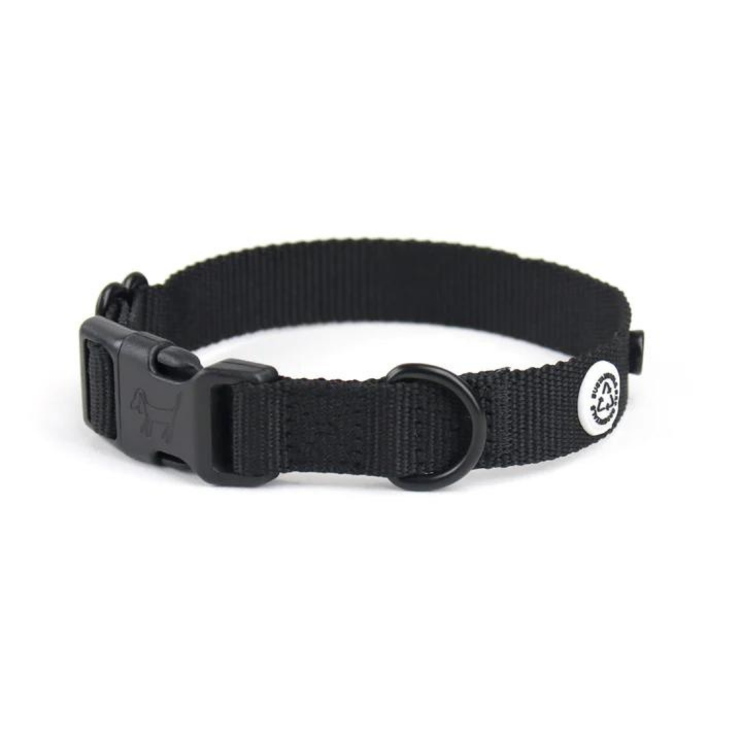Collar perro con cierre click - Negro