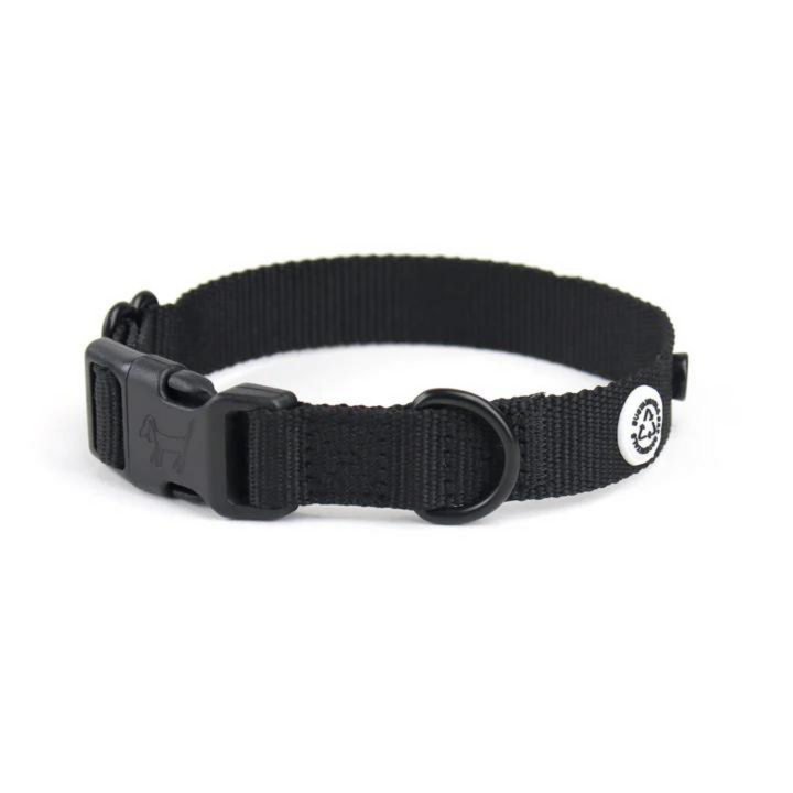 Collar perro con cierre click - Negro
