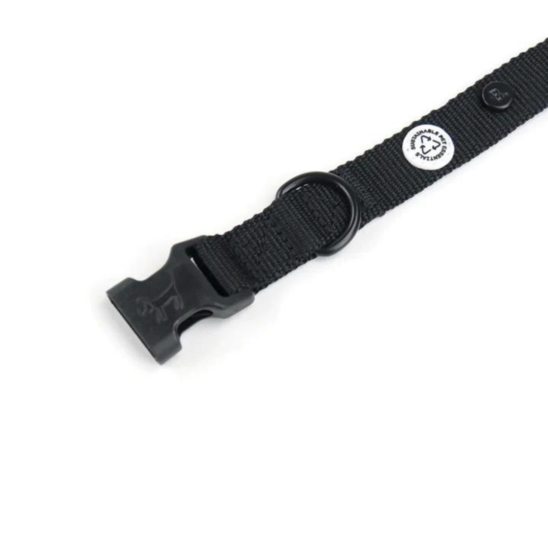 Collar perro con cierre click - Negro