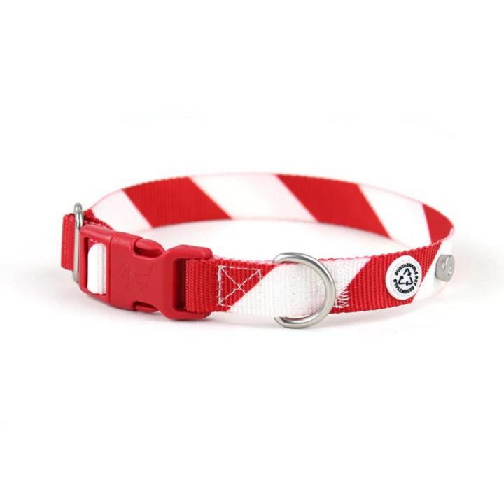 Collar perro con cierre click - Holiday