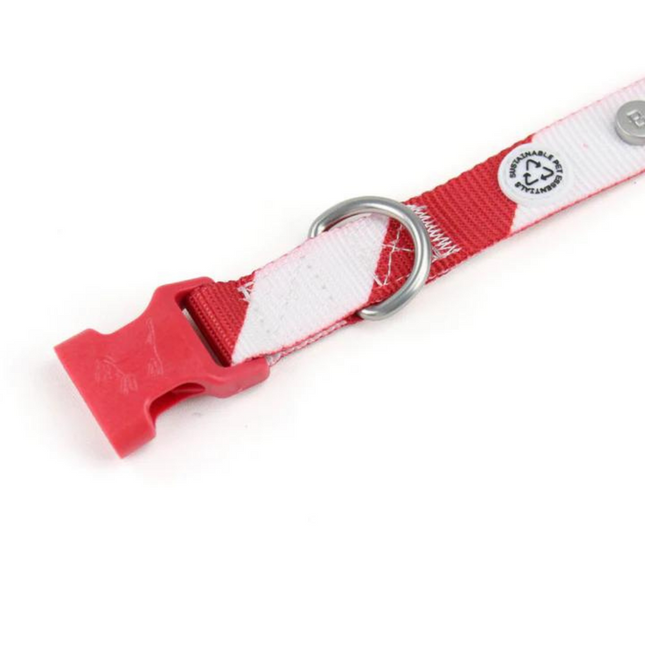 Collar perro con cierre click - Holiday