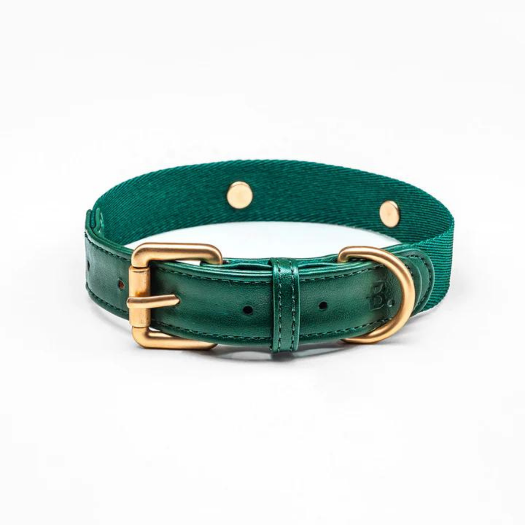 Collar perro Classic verde