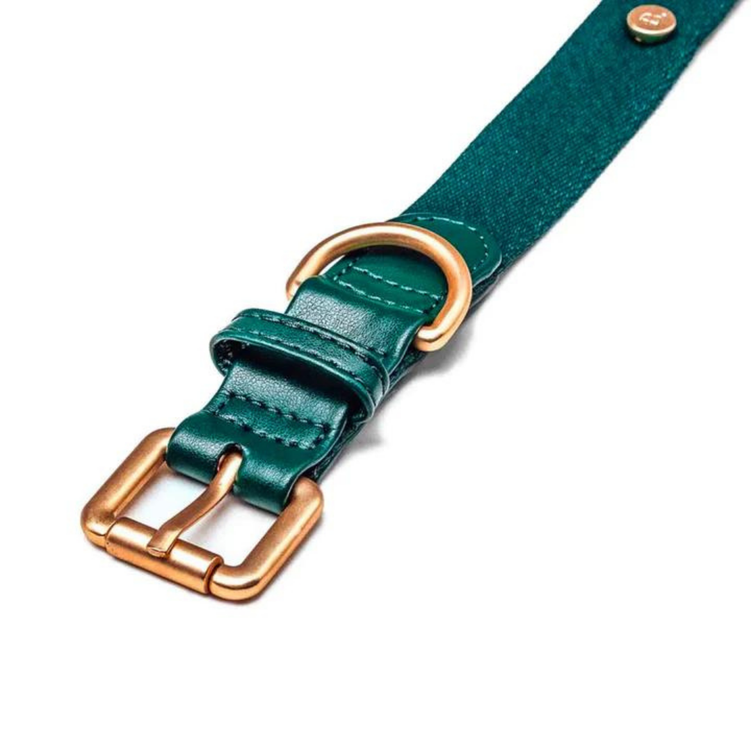 Collar perro Classic verde