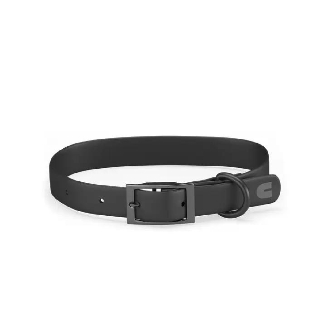 Collar perro gala - Negro