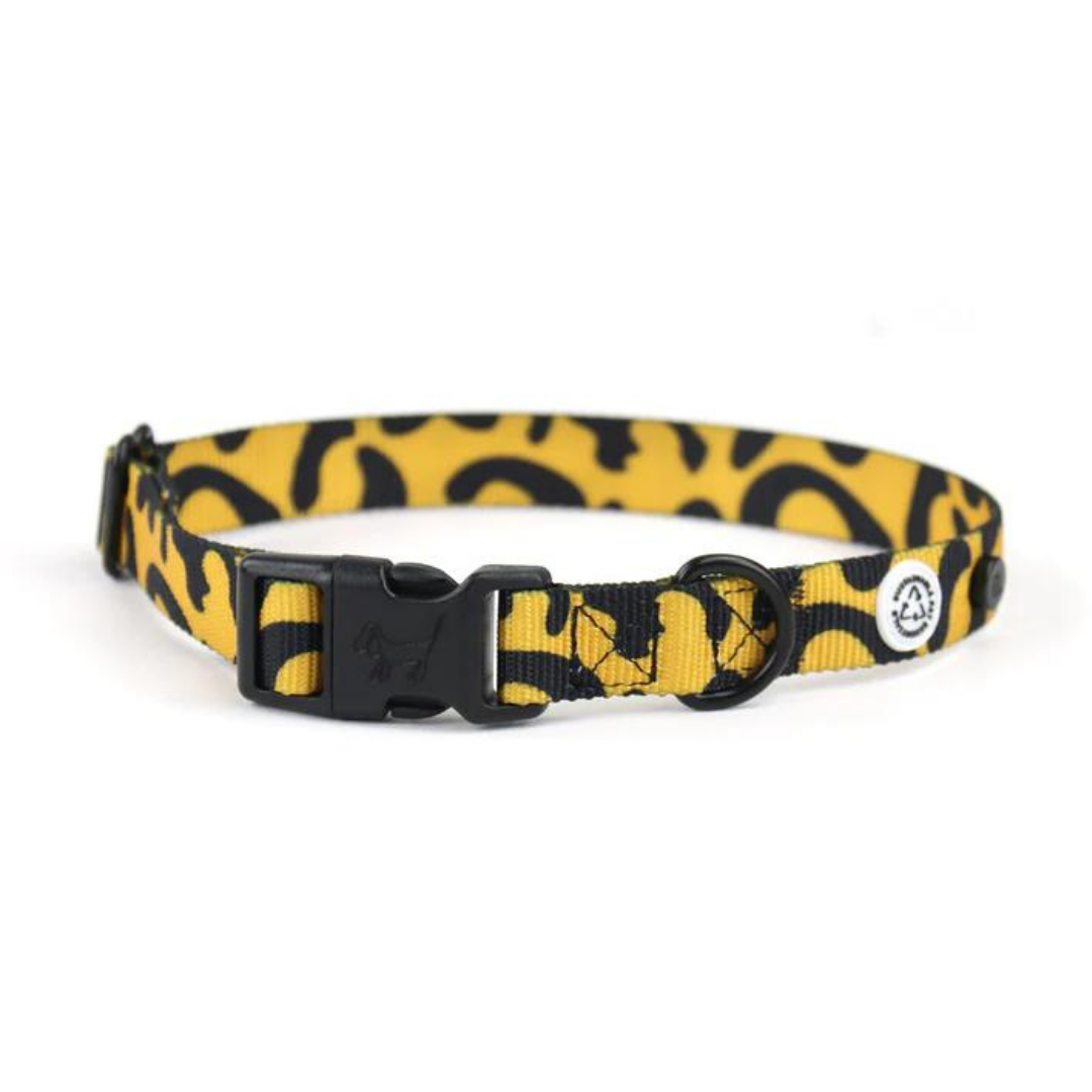 Collar perro con cierre click - Leopardo