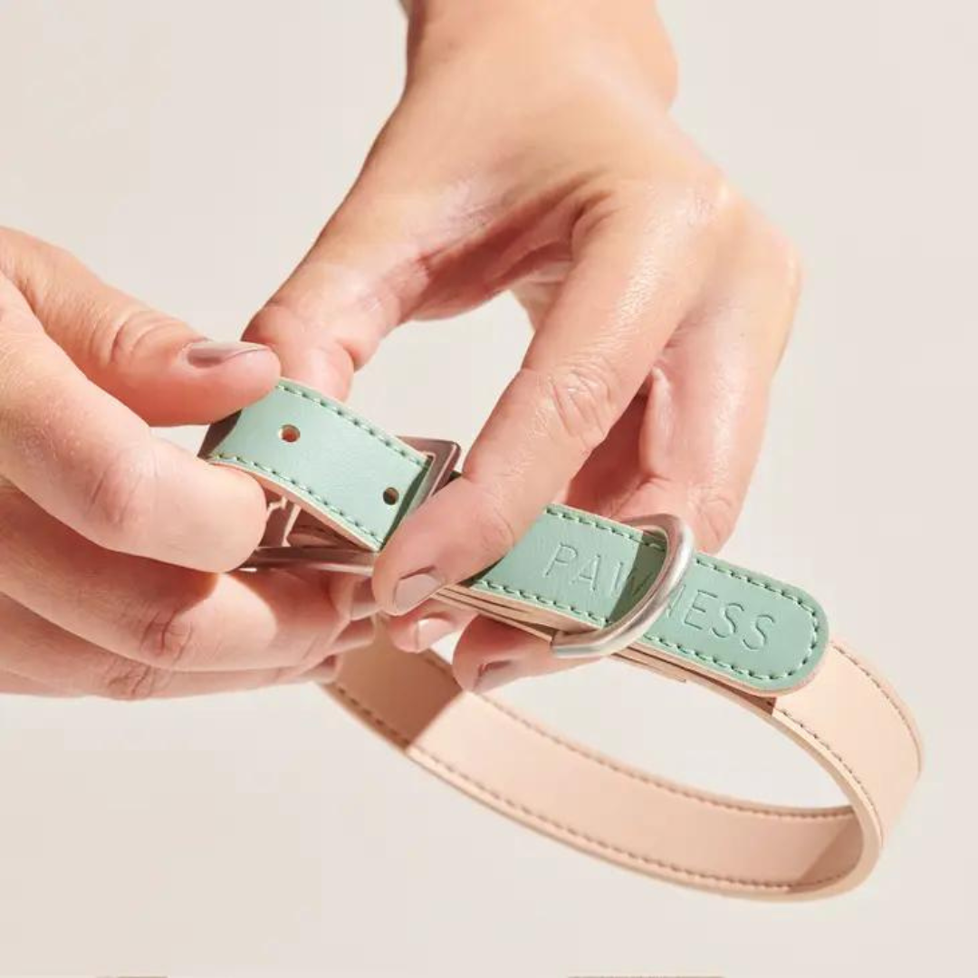 Collar Cuero Vegano - Esmeralda